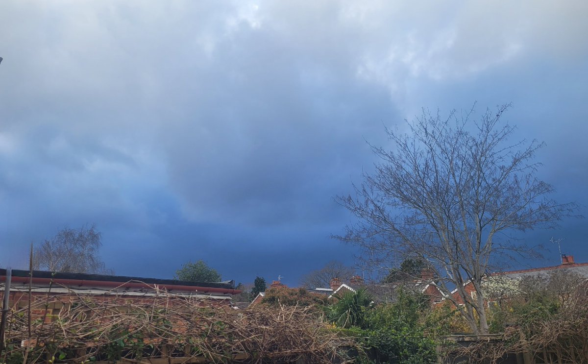 Beautiful stormy sky over the garden this afternoon 🌧
#Storm #StormySky #RainyDay