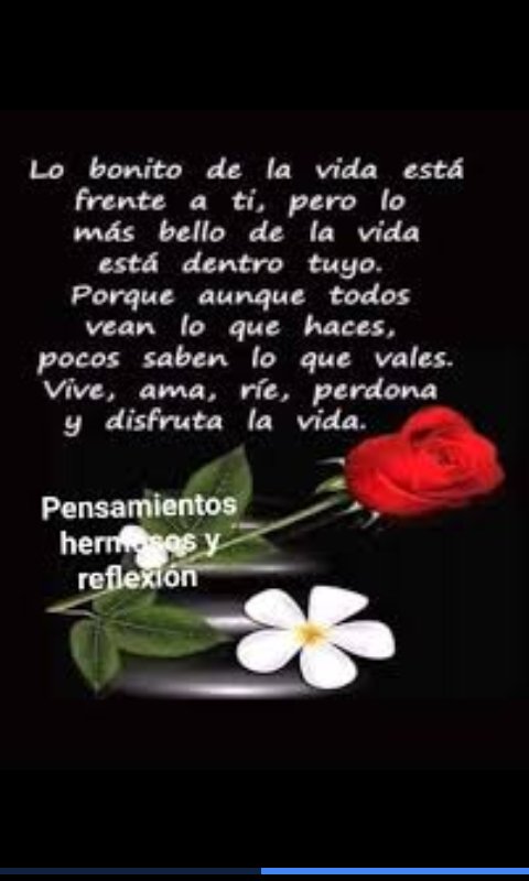 ErikaAlemanH's tweet photo. Lo más bello la vida, https://t.co/VITp5PPBGn
