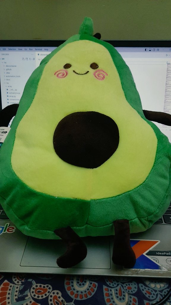 cosmo_sat's tweet photo. Received an avocado plushie todayyy, **sobbing**

@adityaoberai you are the best!

hehe, I already named it ^^ https://t.co/5n3BJywxOU