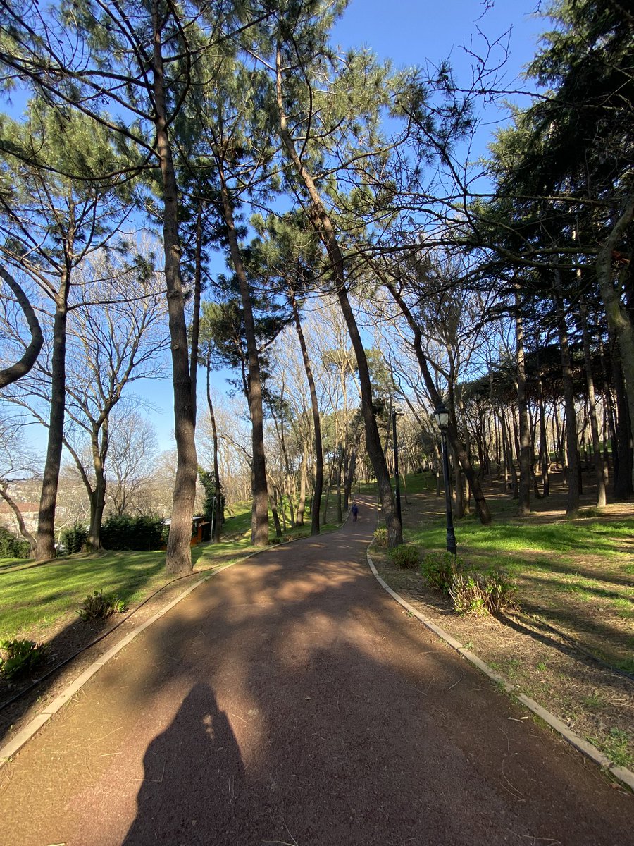 pervinodabasi's tweet image. #timeformyself 🌞