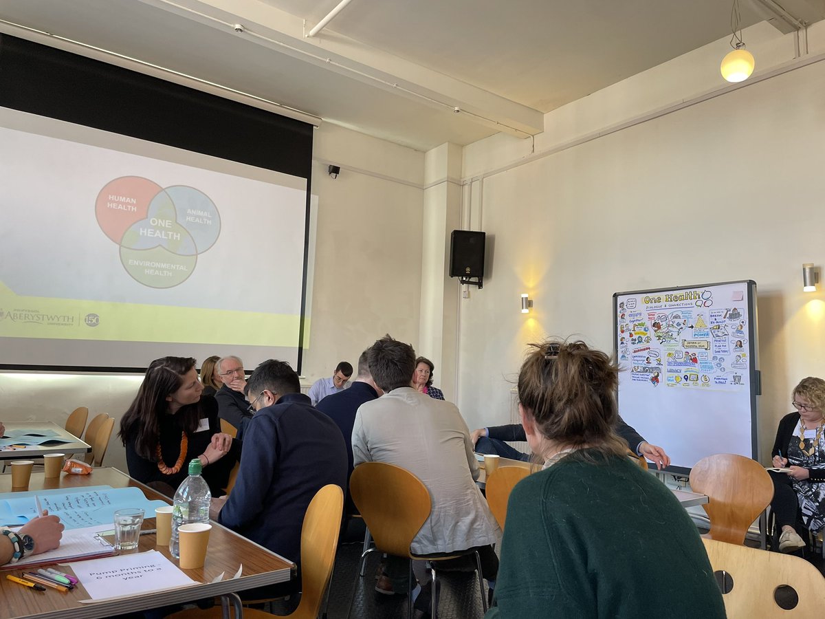 charliemuss's tweet photo. Another great @onehealthaber event hosted by @AberPsych @PsychAtAber - great conversations and dialogue about how we could create a One Health Community https://t.co/y7zXVo2CSU