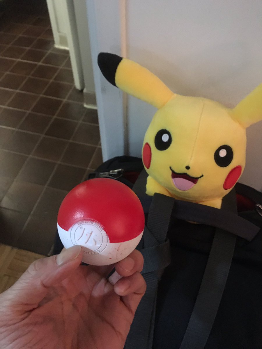 JonJonAnimation's tweet image. I see #Pikachu trending and now I must post some of my rough line tests of a Pikachu bouncing and a mural I made of #PikaPika and the plushie pal with a #pokeball made from a lacrosse ball lol and a lil Pikachu plush P100 pilot. (I’m ok)😂