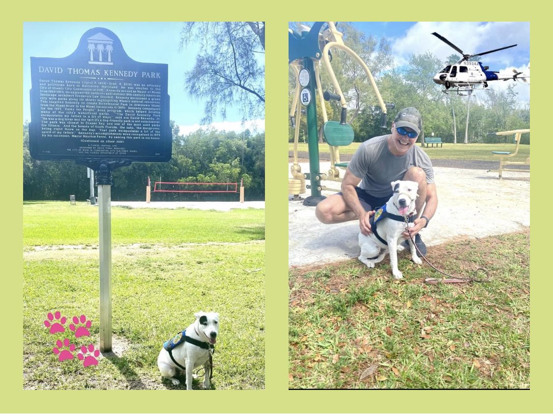 Stayed tuned #CityOfMiami #kennedypark #coconutgrove 🐾🐶😘🌻🥰