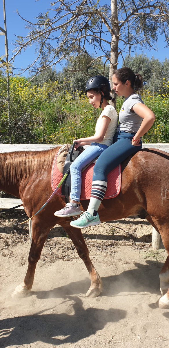 Ceip Ciudad de Mobile tweet media