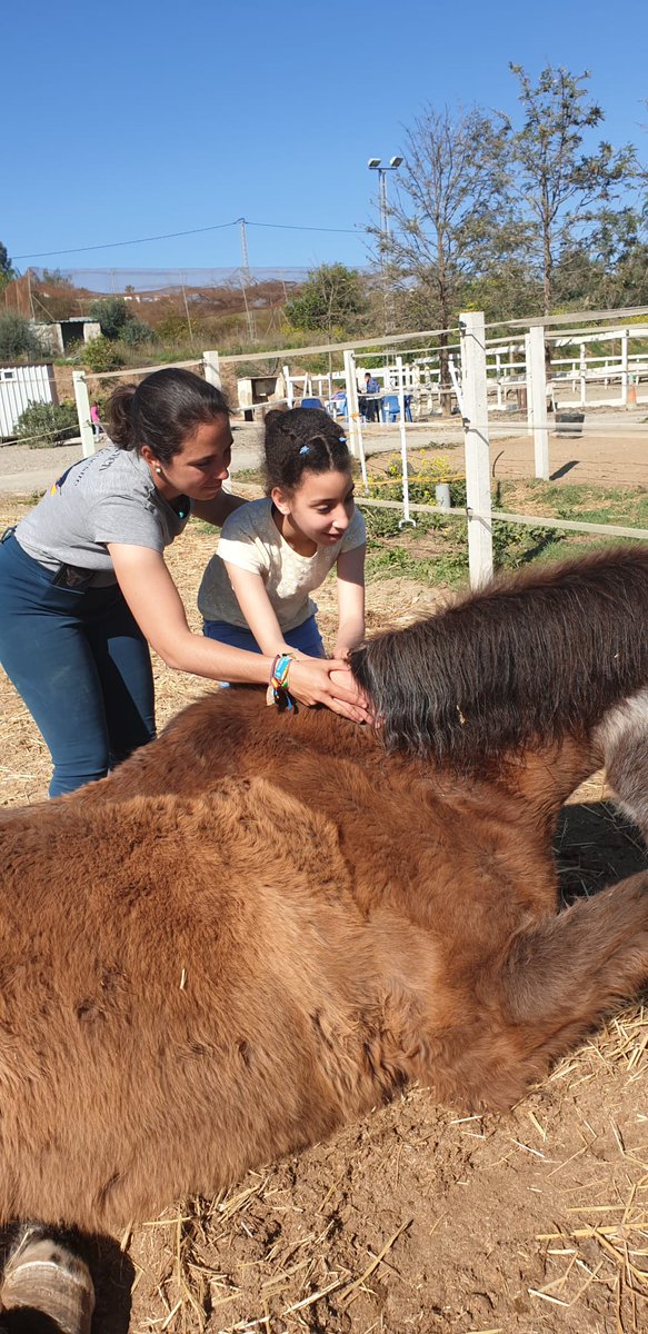 Ceip Ciudad de Mobile tweet media