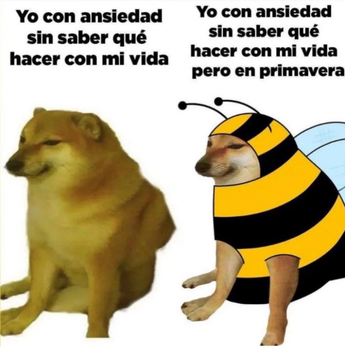 yisucrist's tweet photo. me representa https://t.co/EaGJdza9gF