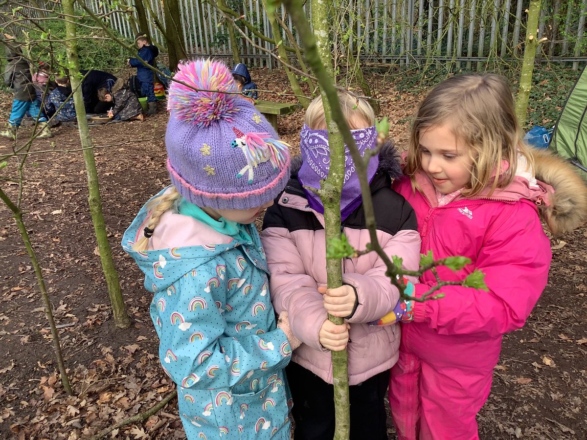 StPhilipsY2C's tweet photo. We had a fabulous morning yesterday at forest school. We used hammers and nails to make the face of the Green Man who brings the spring to the forest! @StPhilipCEAP https://t.co/GqvTzwK80F