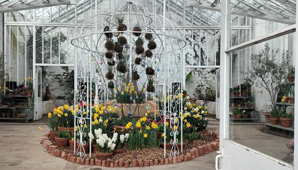 We were enchanted by this pretty Easter display which we found in the conservatory at #ClumberPark, #NT, just four miles from us.