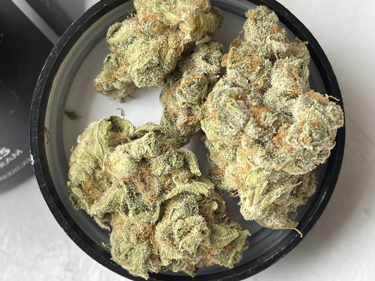 itslamilam's tweet photo. 🍃💨🔥🌱 FLOWER FRIDAY 🌱🔥💨🍃
#CannabisCommunity #Mmemberville
#FlowerFriday #ganja #herb #weedfam
#ReeferKeeper #WeedWorldUSA #420life
#KushQueen✨🍃💨 #puff #weed
📷: Jack Herer https://t.co/C2PRFZEF8u