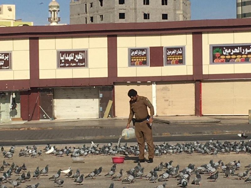 لا تحقِرَنَّ من المعروف أصْغَـرَهُ
أحسِنْ فعاقِبةُ الإحسانِ.. حُسناهُ
وكلّ أمرٍ له لا بد عاقبةٌ
وخيرُ أمرك ما أحمدتَ عقباهُ
•
•
أبو العتاهية