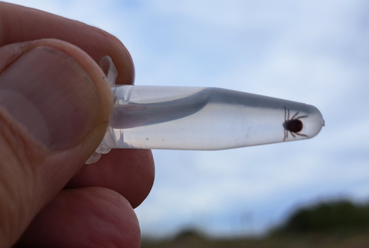 Miguel A. Gómez-Serrano tweet media