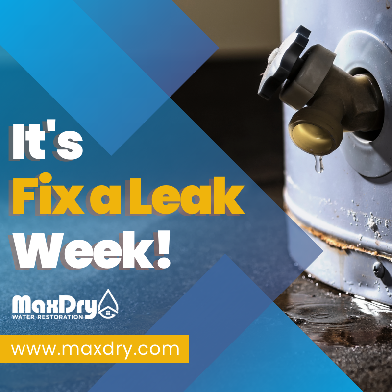 MaxDry_atl's tweet photo. It’s Fix a Leak Week! 💧

Be sure to call a professional plumber to fix any leaks in your home. If water damage has been left behind due to a leak, we know some restoration experts who can help! 😉 Just give us a call. 📞

#fixaleakweek #plumbing #maxdry #restorationservices https://t.co/KpEZKU8cez