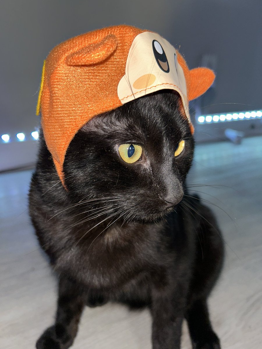 Byron Drek tweet media