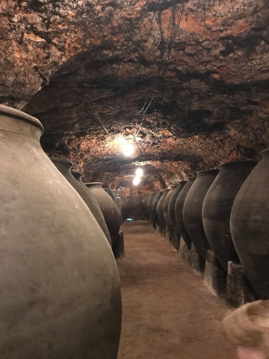 BodegasPeral's tweet photo. Nuestra cueva bicentenaria, perfecta para dar un agradable paseo descubriendo sus rincones y sus aromas... ¿Vienes a vernos? ❤🍷
Escoge el pack que mejor se adapte a tus gustos 👉👉 https://t.co/IjF5XLl3lb
#bodegasperal #colmenardeoreja #madrid #bodega #vino #wine #vinosdemadrid https://t.co/QY8ytthTmB