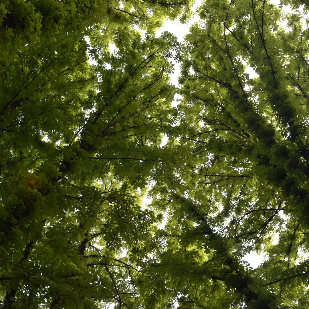 Radical Remission tweet media