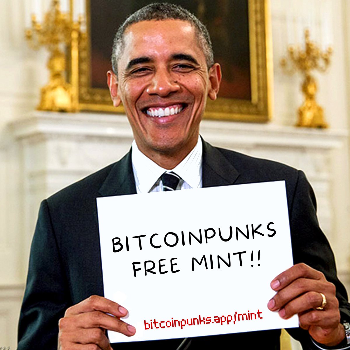 Bitcoin Punks Project tweet media