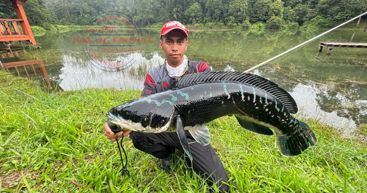 PakAlFishing's tweet photo. The best fight ever 🥰🥰🥰 https://t.co/ePwqRg6xro