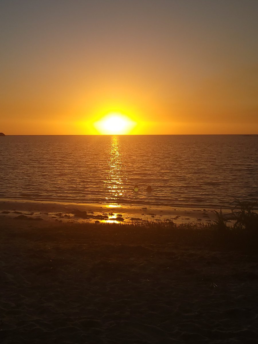 Lex_Richardson5's tweet photo. @JaymeKingFox35 #snapthesun Yankeetown, Florida https://t.co/o32S43m1kT