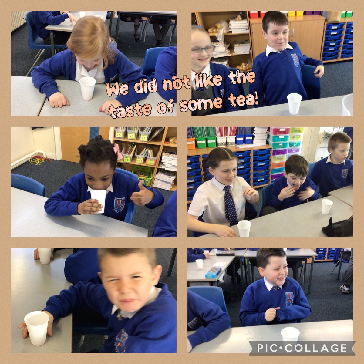 Zebraclassww's tweet photo. Our new text in English is called Cloud Tea Monkeys so today we were apprentice tea tasters! We tried a range of different tea including peppermint, camomile, Earl Grey, strawberry and mango and British Breakfast tea. @whistonwillis1 #WWPAWRITING @LiteracyDonny @theliteracytree https://t.co/wpXHtKjVcJ