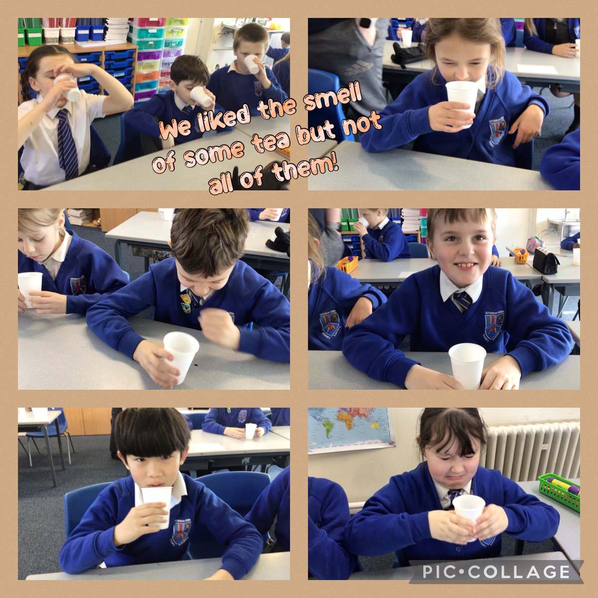 Zebraclassww's tweet photo. Our new text in English is called Cloud Tea Monkeys so today we were apprentice tea tasters! We tried a range of different tea including peppermint, camomile, Earl Grey, strawberry and mango and British Breakfast tea. @whistonwillis1 #WWPAWRITING @LiteracyDonny @theliteracytree https://t.co/wpXHtKjVcJ