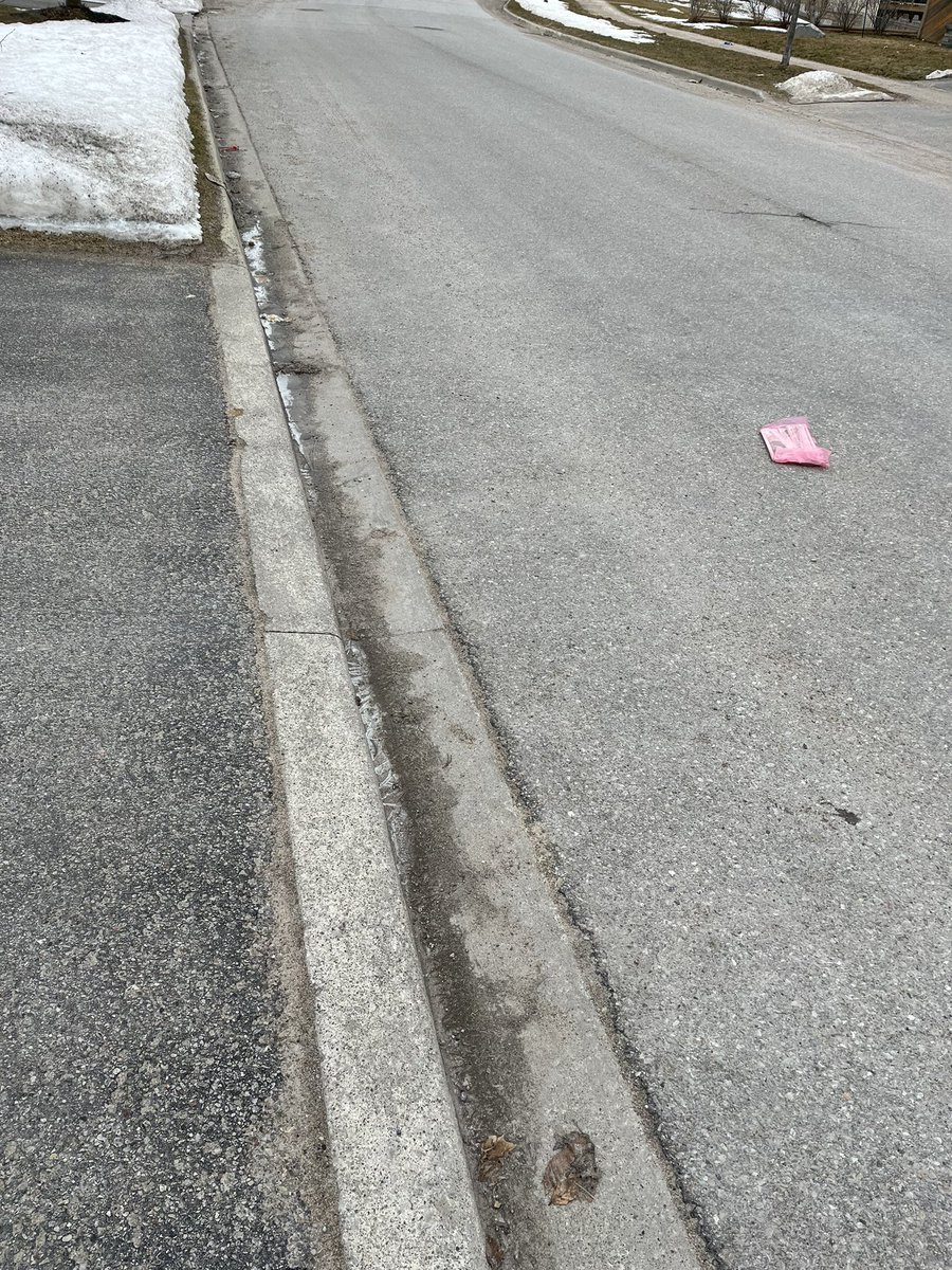 QuinnerS15's tweet photo. @barrieadvance Is the middle of the road the new delivery point for you paper??  This isn’t the first time. https://t.co/80vKbFkcvR