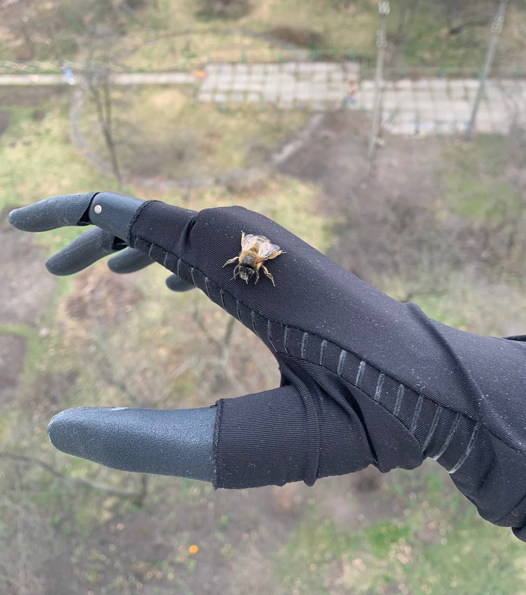 Military user Alexis reports: spring has arrived! 🐝 #bionichand #EsperforUkraine