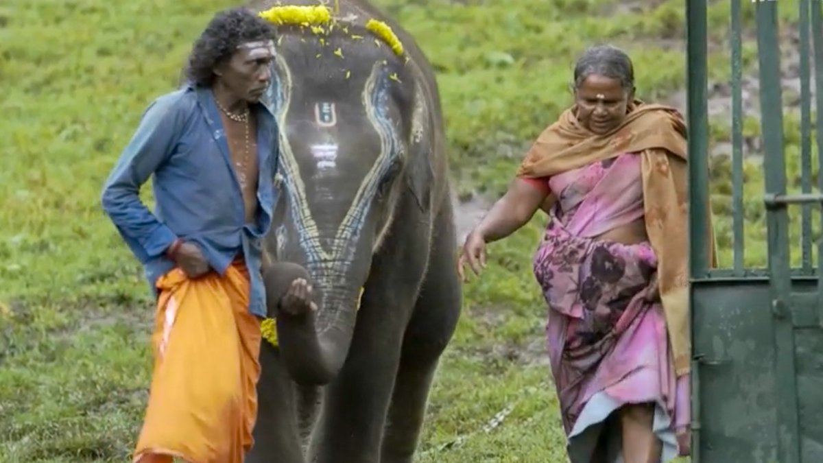 TheRaveClub2's tweet photo. The Elephant Whisper.
.
Check out the blog below to know more 👇👇👇
.
https://t.co/eBxcmpsyzY
.
#Congratulations #India #Indian  #Trending #viral #Oscar #Oscar2023 #movie #theraveclub https://t.co/FYkJuOZr5p