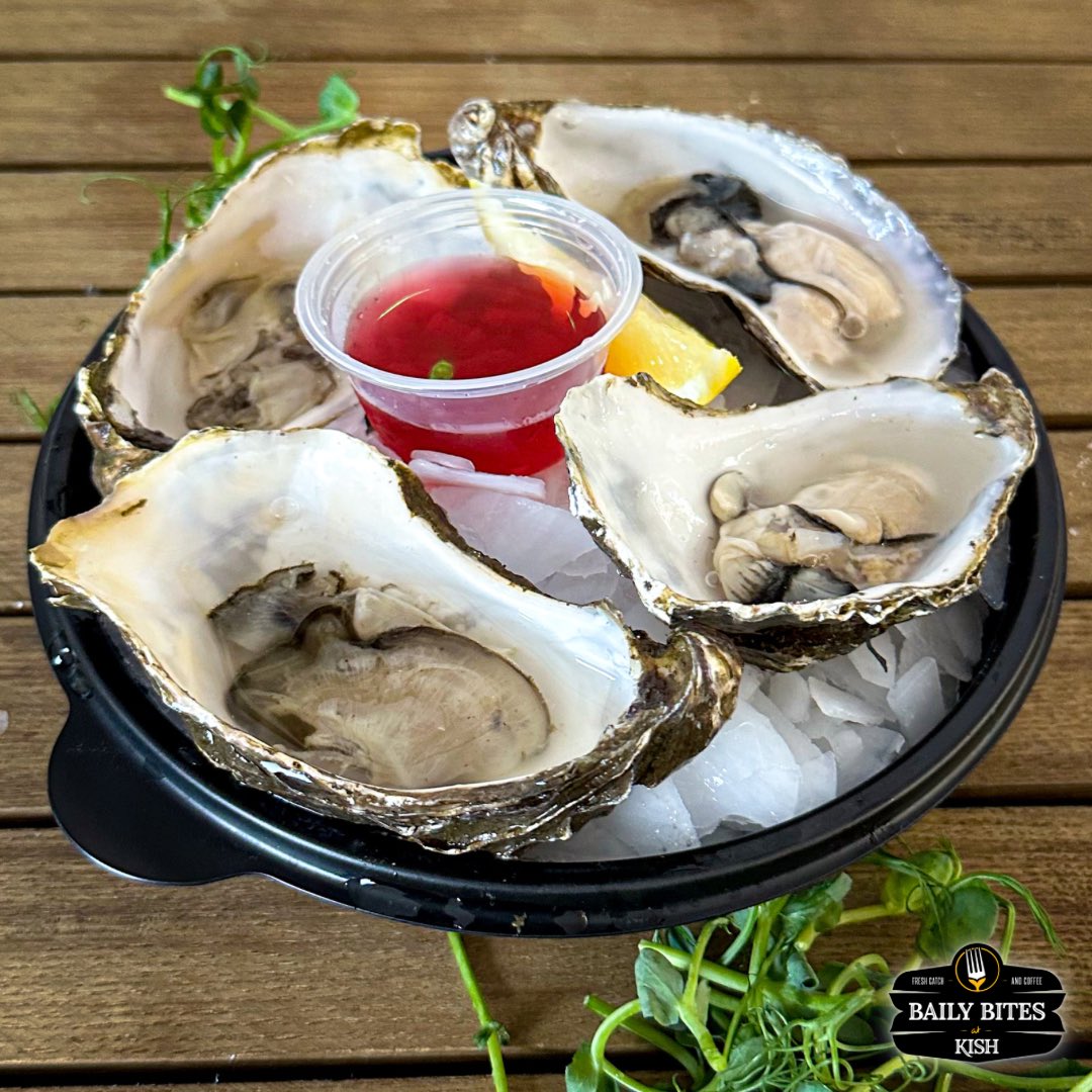 Freshly shucked Irish oysters with 😎🦪

A tasty option for lunch on the pier today in Howth.

Stop by baily bites today for Fresh oysters or choose from many more tasty options.

We’re open 10am - 5pm

#oysters #irishoysters #shellfish #bailybites #howth #carlingfordoysters
