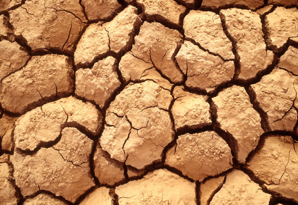 Check out how #bioeconomy can help in reducing climate risks such as droughts, floods and storms, while protecting people and assets 

👉 bityl.co/Hn2w     

#WorldMeteorologicalDay #ClimateCrisis