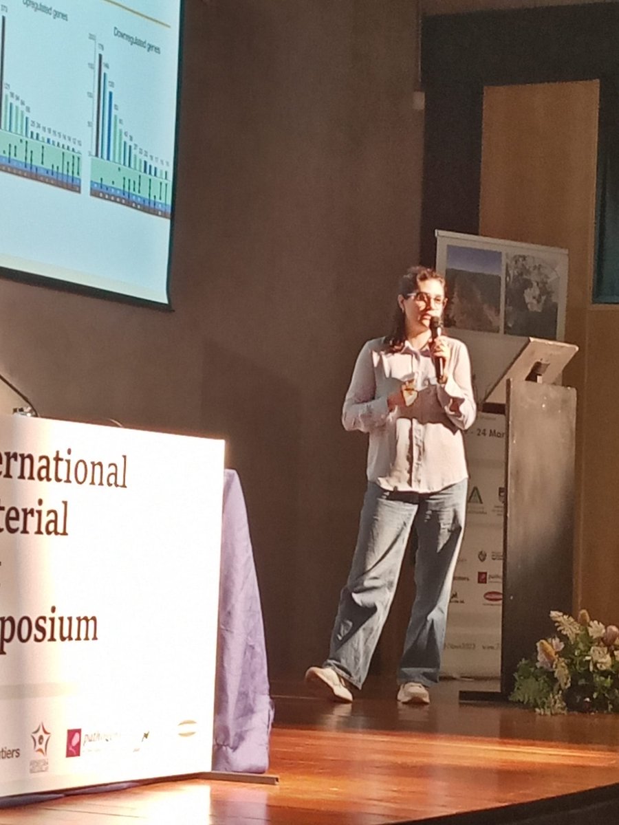 7IBWS2023 tweet media