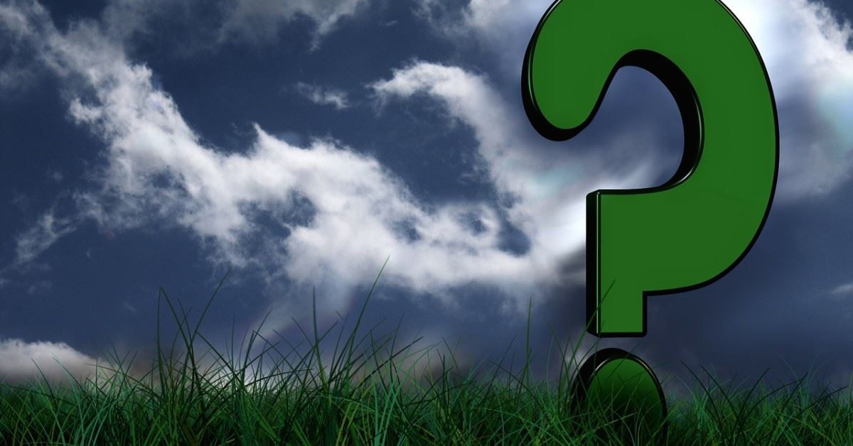 Eoin McQuone tweet media