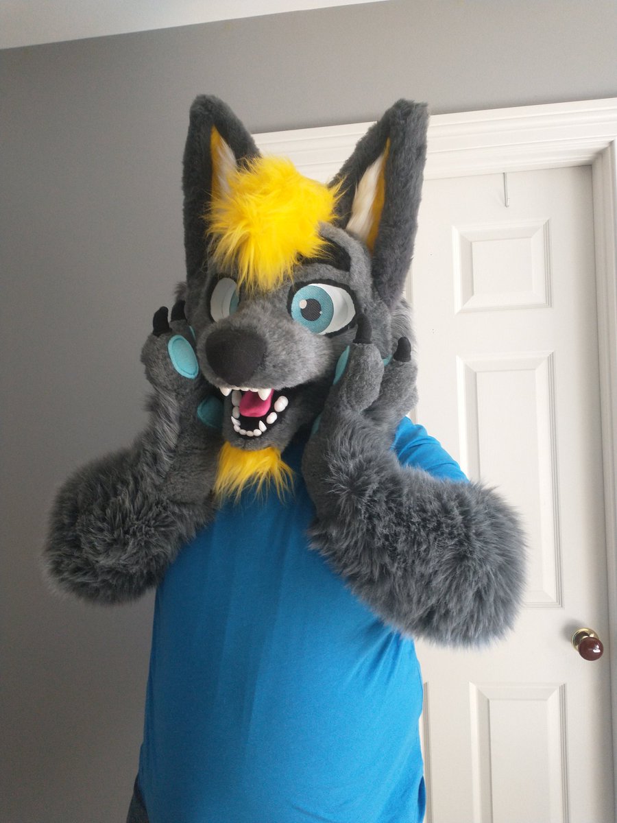 Drizzly_Jackal's tweet photo. So happy to finally have my character come to life. After 4 years of missed cons I can't wait to bring this goofball to MFF. #FursuitFriday #fursuit #furry #jackal https://t.co/BX3EyjAm4B