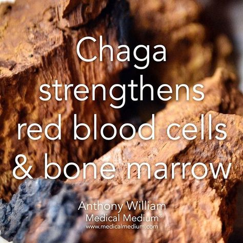 autoimmunemeco's tweet photo. Chaga Mushroom is becoming more popular as people find out the numerous benefits it provides! https://t.co/bixRdsdrFu