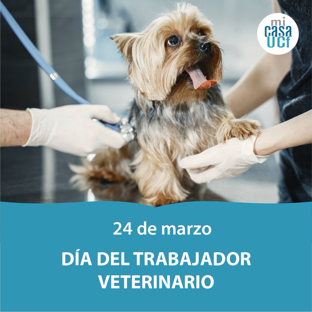 ucfgos's tweet photo. 🥳 #MuchasFelicidades a todos los trabajadores #Veterinarios en su día, especialmente a los que #laboran con  #constancia y entrega diaria en #MiCasaUCf.

#SomosUCf #OrgulloUCf #24DeMarzo #Día_Del_Trabajador_Veterinario #UniversidadCubana
.
@fcaucfgo @AnaisaMelian @OrquiUCf https://t.co/n4hhCQ63uX