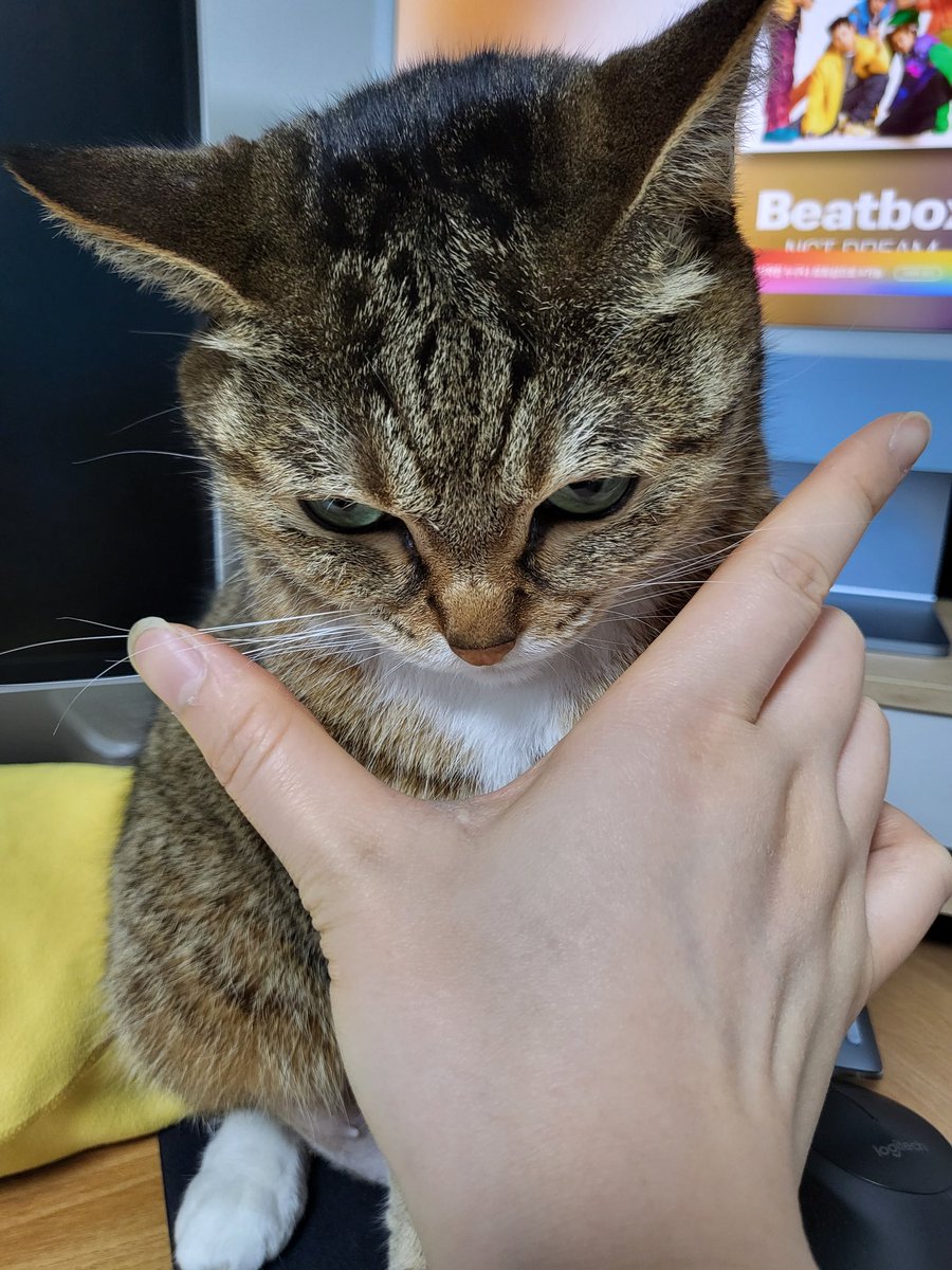 심통난 조랭이떡