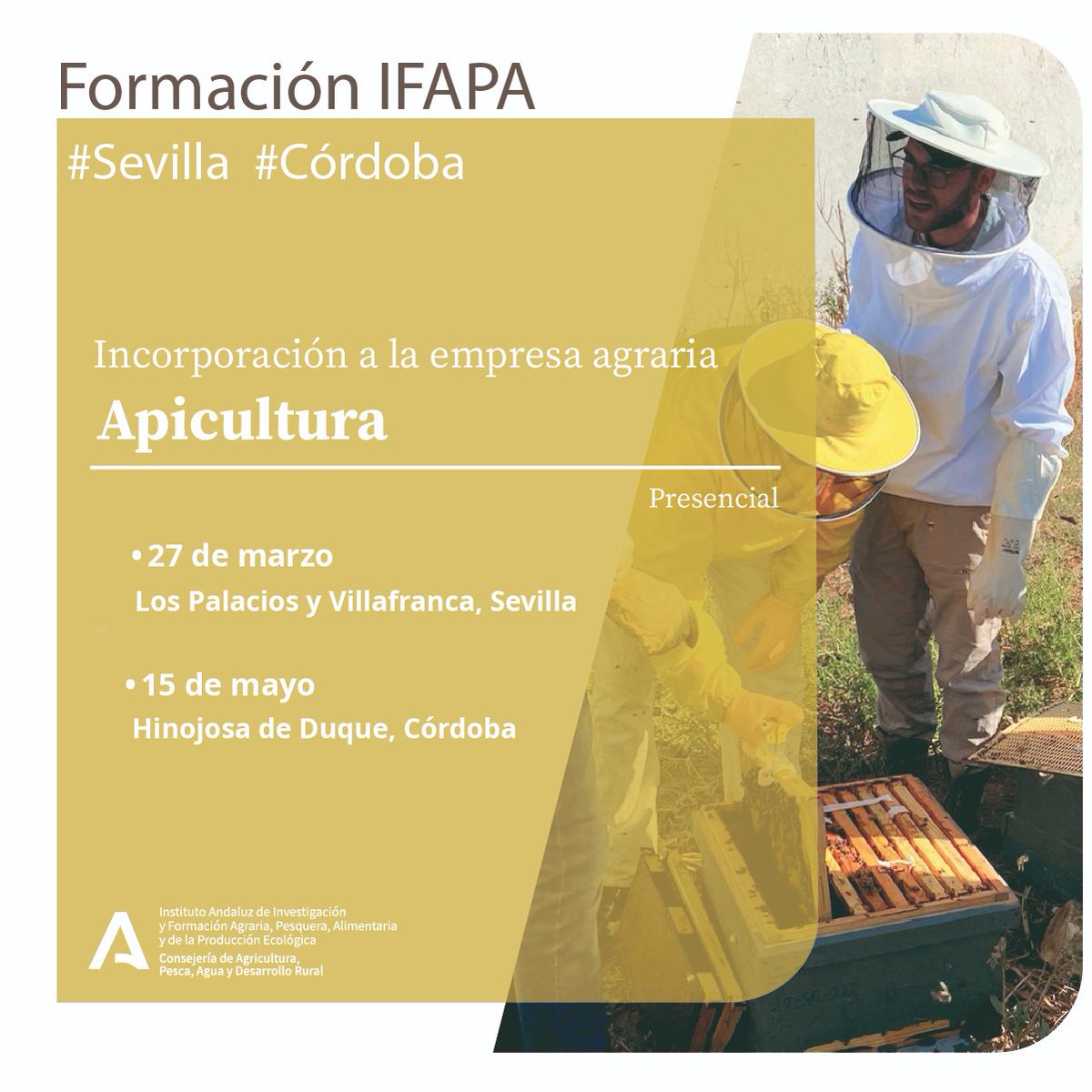 IfapaJunta's tweet photo. 📌Programa formativo de incorporación a la empresa agraria en el sector de la #apicultura 🐝

🗓️ Próximos cursos en #Sevilla y #Córdoba 

➕ Información e inscripciones: https://t.co/TXGTWueoIK

#IFAPAforma #Formación #Cursos #abejas #colmenas https://t.co/ipU0QUSFpY