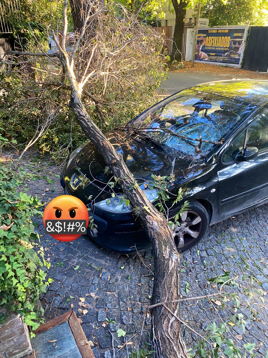 grdcv65's tweet photo. Esta es la consecuencia de no podar! @SanIsidroGob y ahora?? Hagan su trabajo          Asi me levanto a la mañana, sin viento sin lluvia se cae medio arbol!!
@gustavoposse para esto cobran tasas altisimas!! https://t.co/GMHYagzOds