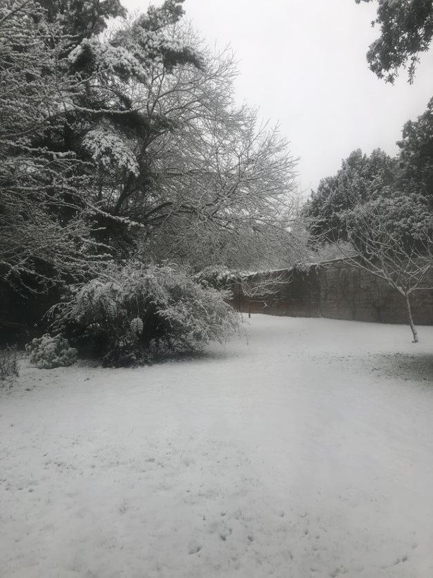 CobhamBoarding's tweet photo. With daylight savings fast approaching and the weather warming up, here is a throw back to the snow day Boarding woke up to on Wednesday the 8th of March - for some it was their first time seeing snow <3  #ukboardingschool #cobhamhall #studyaboard #snowday #snowballfight https://t.co/Nb8DrkI2PB