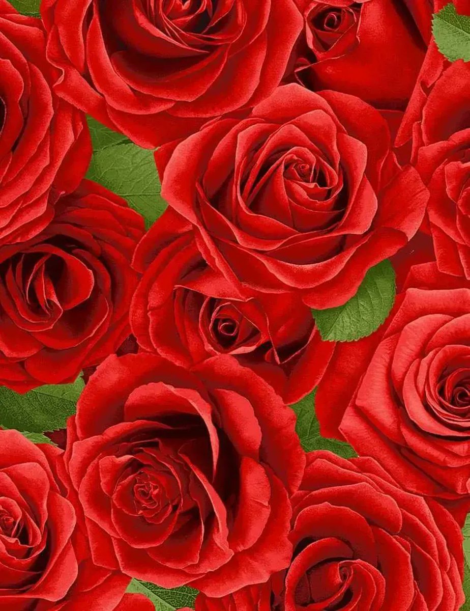 buff.ly/3Cp8auI Red - Packed Roses Timeless Treasures TT-Flora C1191 Red Garden Bouquet #sewing #cottonfabrics #redroses #etsyfinds #EtsySeller #floral