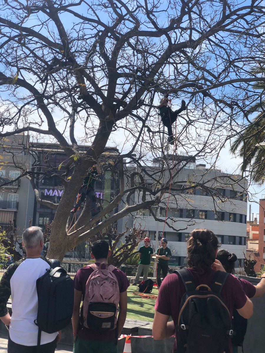 CIFO Santa Coloma tweet media