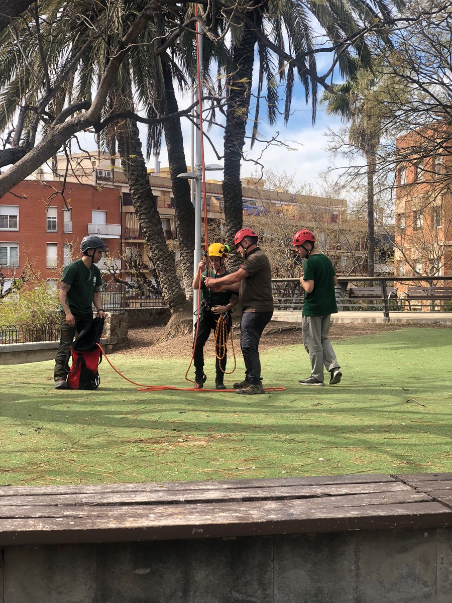 CIFO Santa Coloma (@cifosantacoloma) on Twitter photo Avui els alumnes del curs de Gestió d'#arbres i palmeres han realitzat una demostració de #trepa i #poda en alçada a la Fira Santa Coloma Orienta.
Per més informació sobre els propers cursos: 934665830 o cifo_santacoloma.soc@gencat.cat
#santacoloma #badalona #barcelona Avui els alumnes del curs de Gestió d'#arbres i palmeres han realitzat una demostració de #trepa i #poda en alçada a la Fira Santa Coloma Orienta.
Per més informació sobre els propers cursos: 934665830 o cifo_santacoloma.soc@gencat.cat
#santacoloma #badalona #barcelona