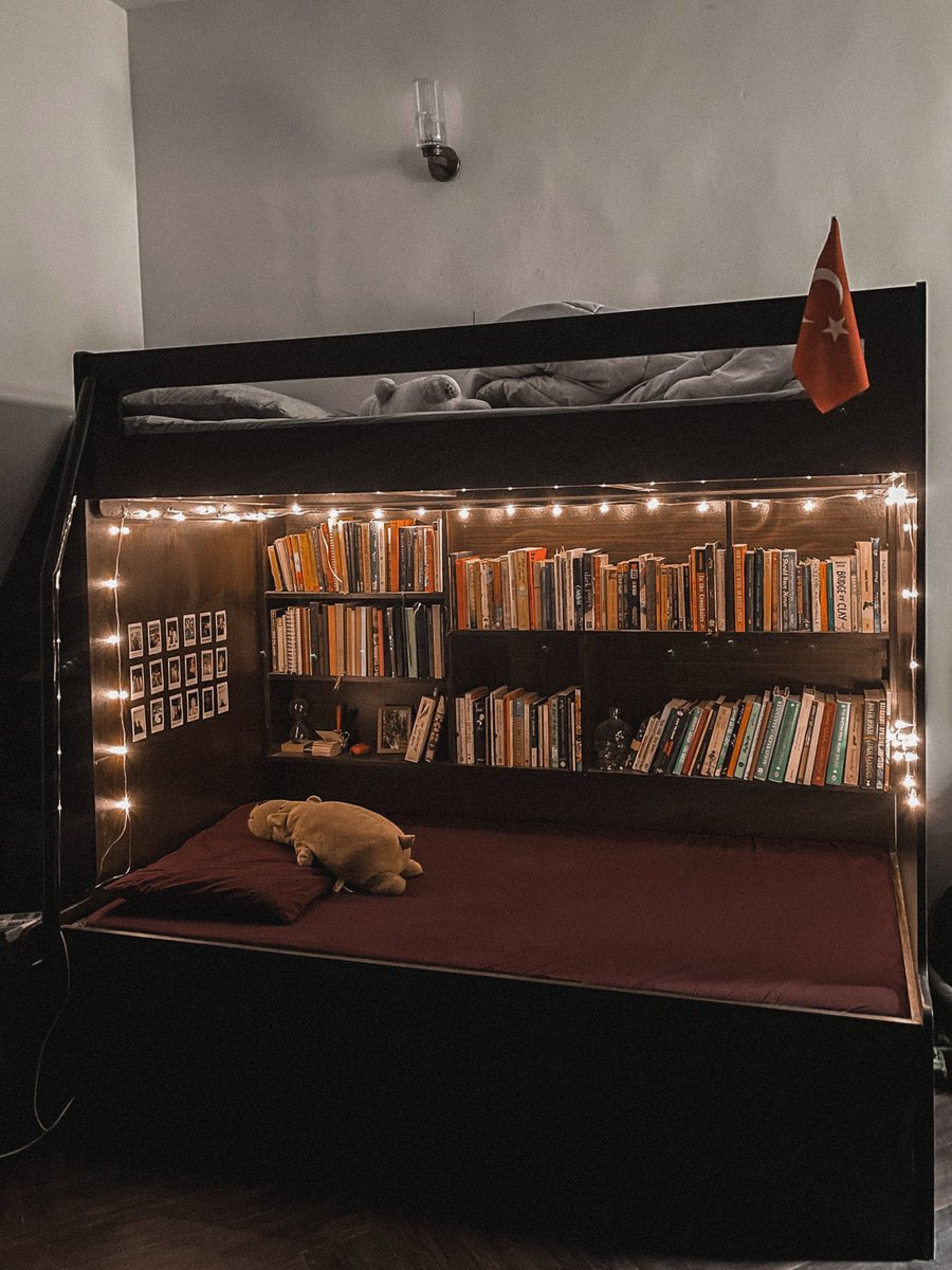 definitely the best decision i made as an adult was to get a built-in-library bed