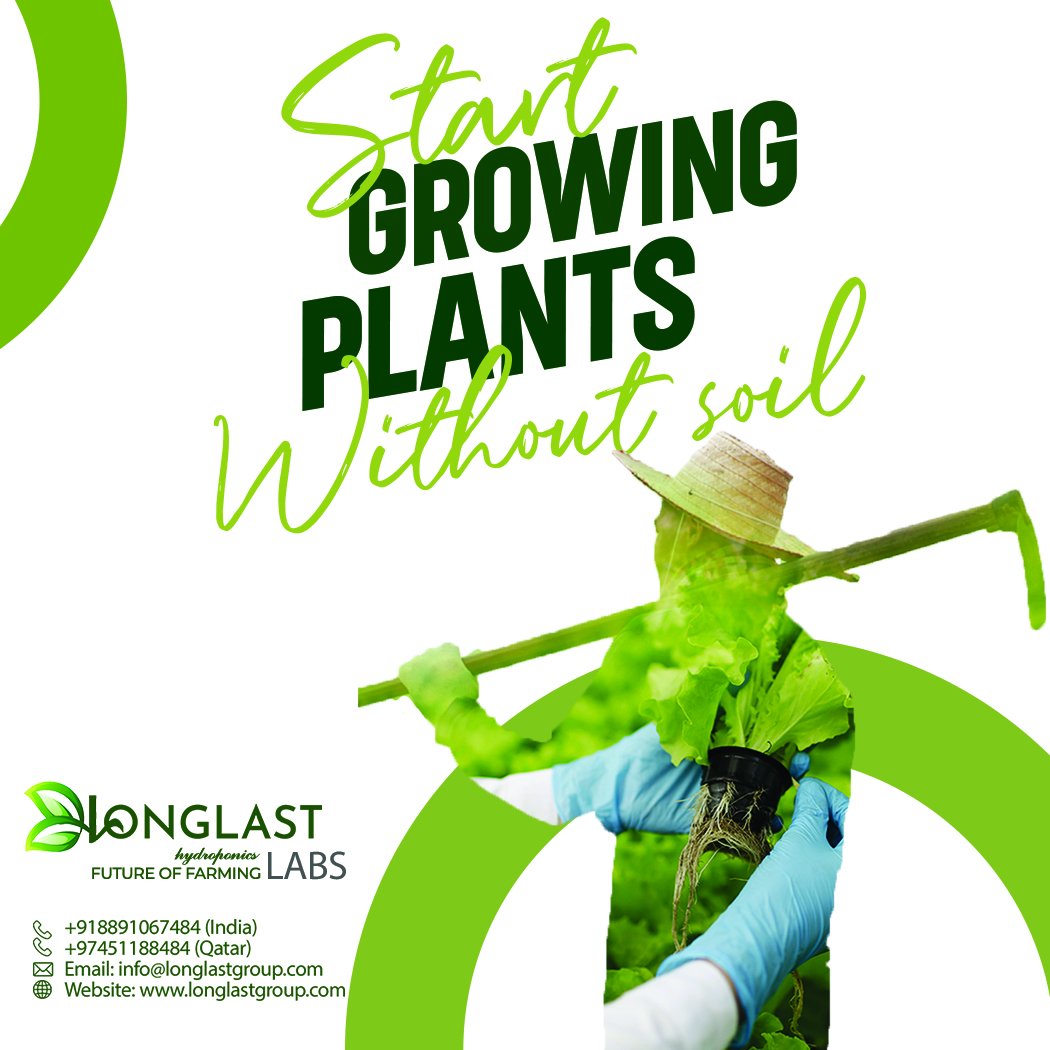 #Longlastlabshydroponics #longlastlabs #longlast  #hydroponicfarm #hydroponicfarming #hydroponicsystem #hydroponicculture #greenhouse #agriculture #agriculture_technique #oraganicfarming #polyhouse #polyhousefarming #farmtech #soillessculture #soillessfarming #soilessgardening