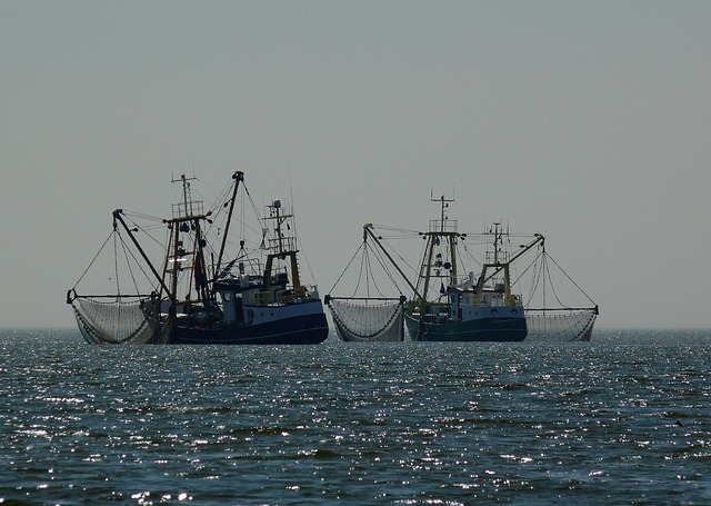 RRInternational's tweet photo. Zece cetăţeni #bulgari, aflaţi pe trei #pescadoare, au fost depistaţi braconând #calcan şi rechin în zona economică exclusivă a #României în #Marea_Neagră, la circa 100 kilometri travers de staţiunea Mamaia, a informat, vineri, Garda de Coastă. https://t.co/4fHtjkJaYY