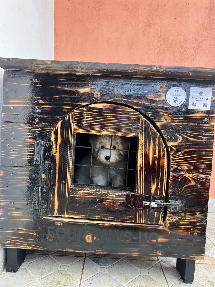RickmanManrick's tweet photo. My ka baby cutie pie 🐶 got her kennel today 😍 from @FourPawsUg ❤️ https://t.co/MDCBl4NDbI