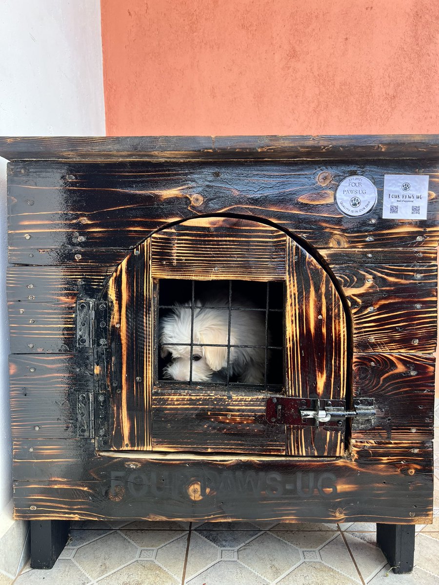 RickmanManrick's tweet photo. My ka baby cutie pie 🐶 got her kennel today 😍 from @FourPawsUg ❤️ https://t.co/MDCBl4NDbI
