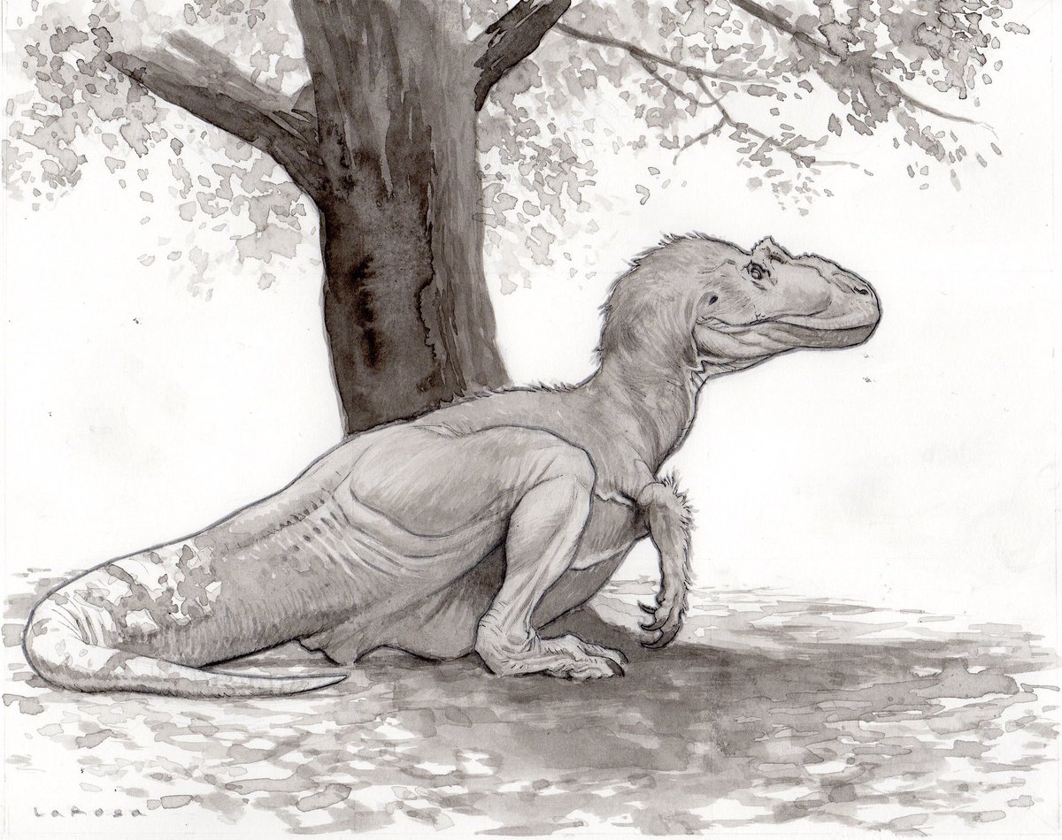 Lewis LaRosa on Twitter: "The exact photo I drew this from, I only closed the mouth https://t.co/EMRtypkCoI" / Twitter