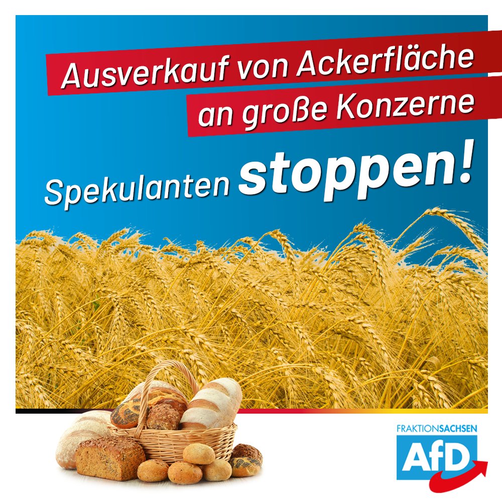 In #Sachsen kaufen branchenfremde Großinvestoren unseren Bauern die Ackerflächen weg.  Mit dabei: große Pharma- und Immobilienkonzerne. Die Staatsregierung muss endlich diesen Ausverkauf durch ein „Agrarstrukturgesetz“ verhindern. 

#Landwirtschaft 

afd-fraktion-sachsen.de/agrarstrukturg…