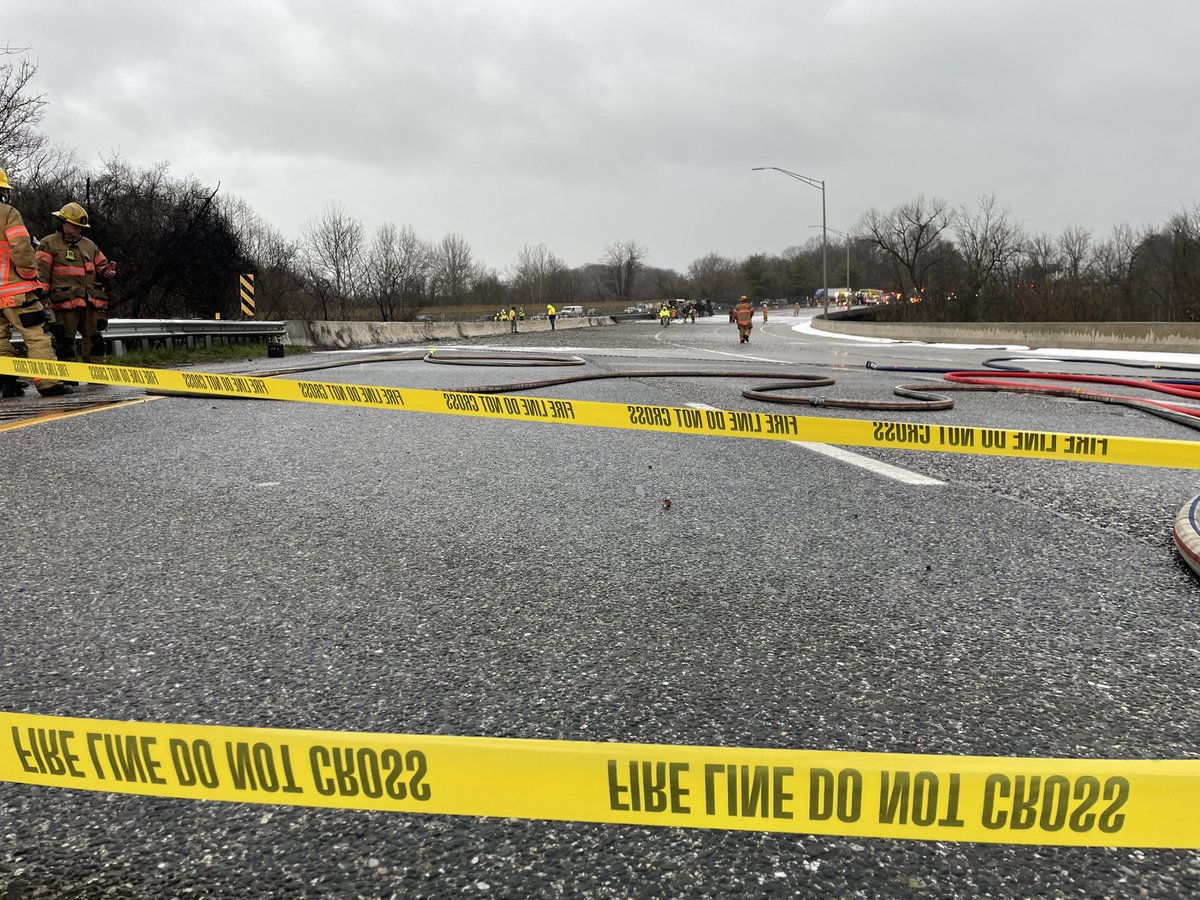 Shannon Lilly tweet media