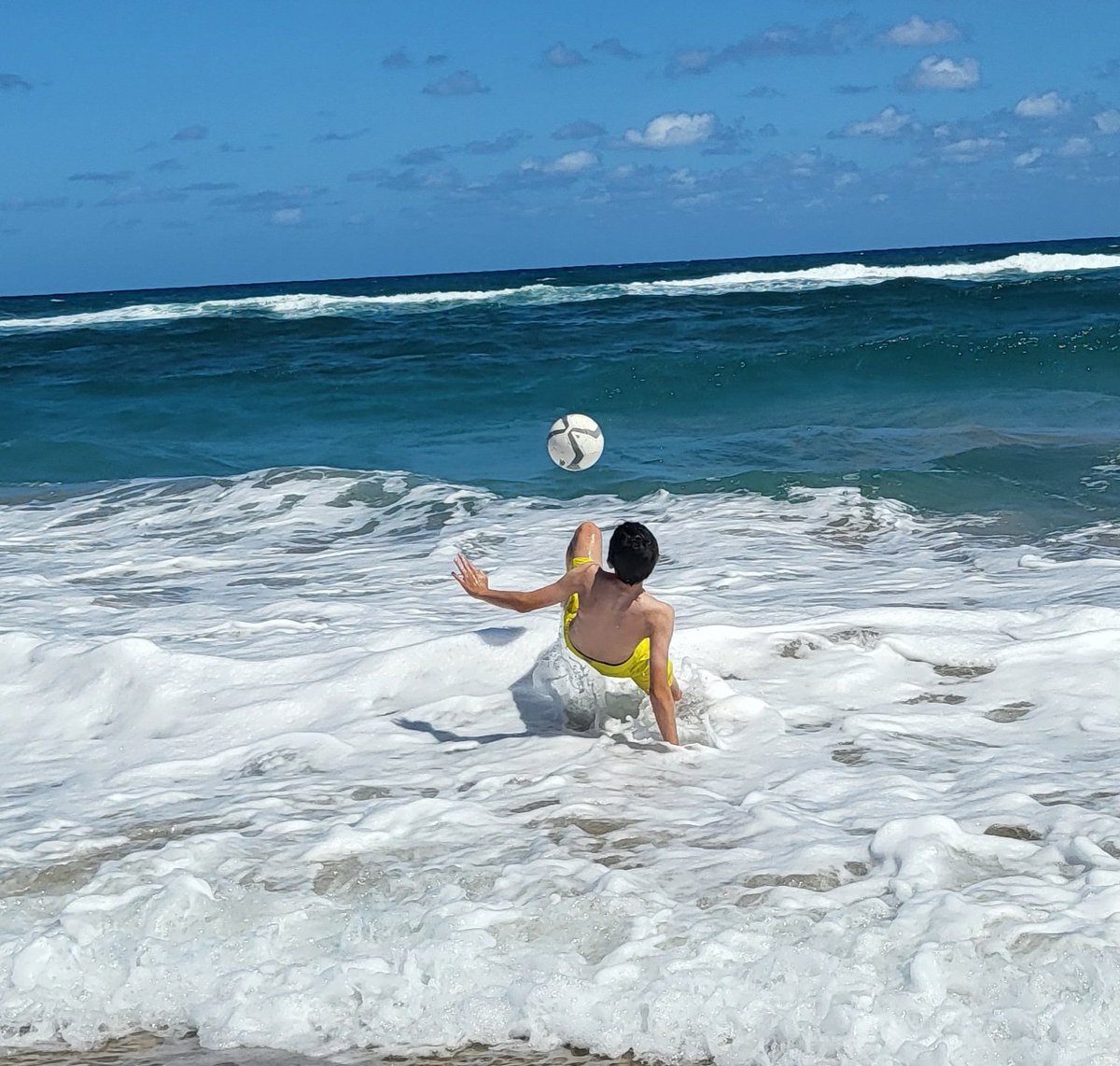 Lisa Robol tweet media